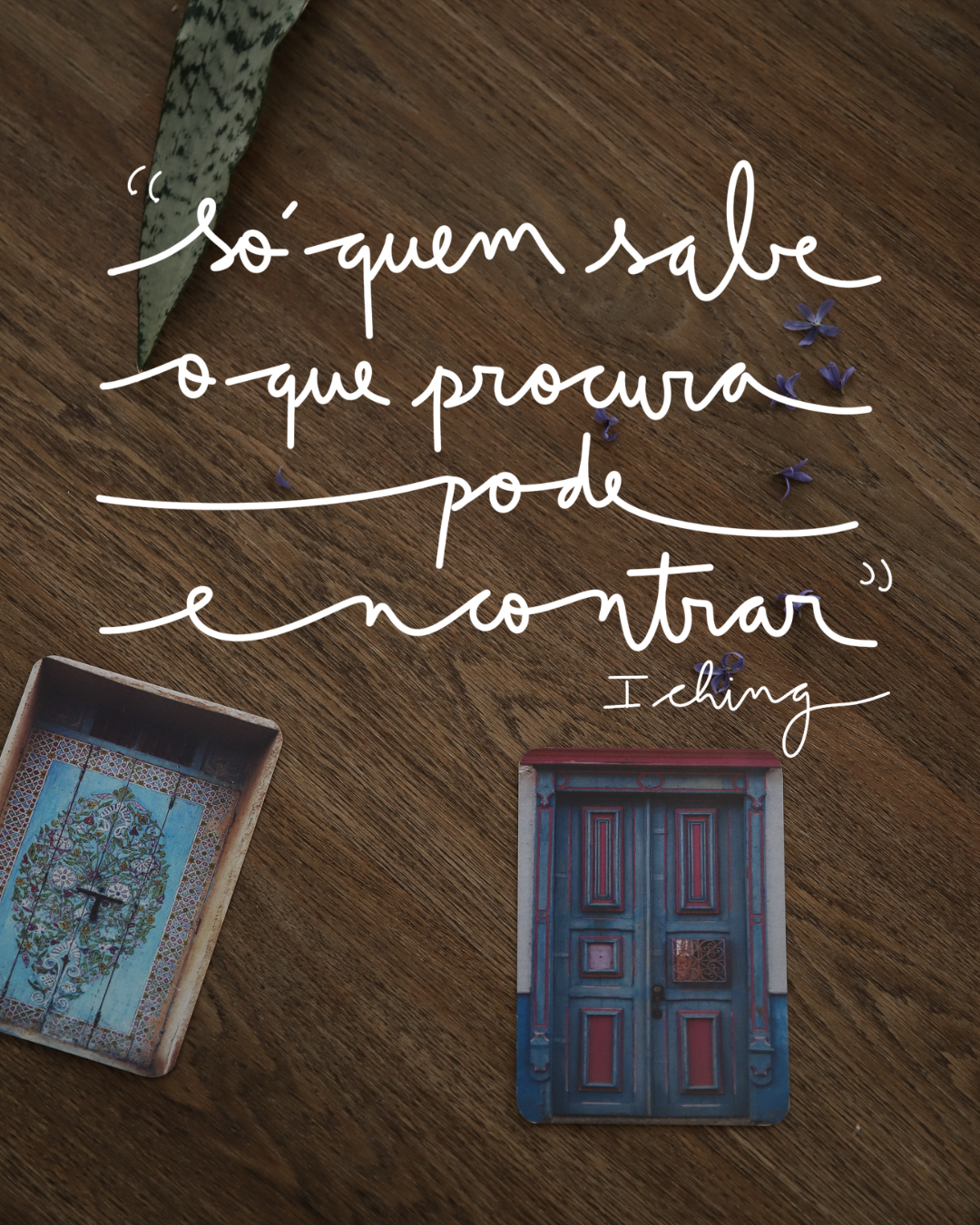 Jornada Casa Corpo - encontros de Feng Shui - Imagem 20